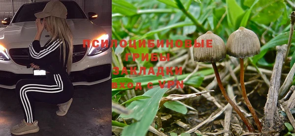 дмт Балабаново
