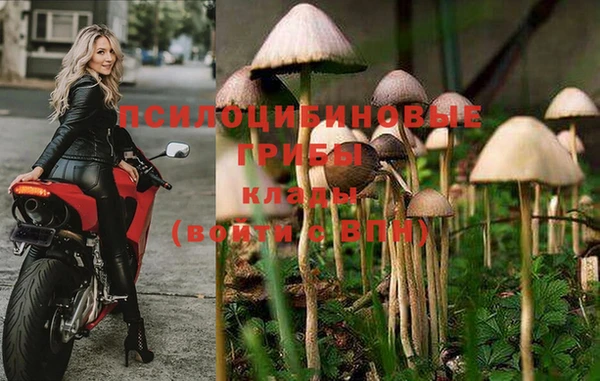 дмт Балабаново